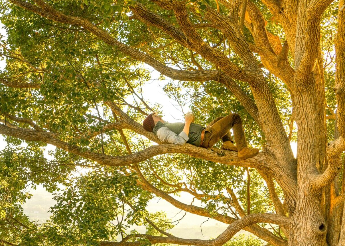 探究テーマに迷ったときに考えてほしいこと― リサーチクエスチョンが決まらない人へ